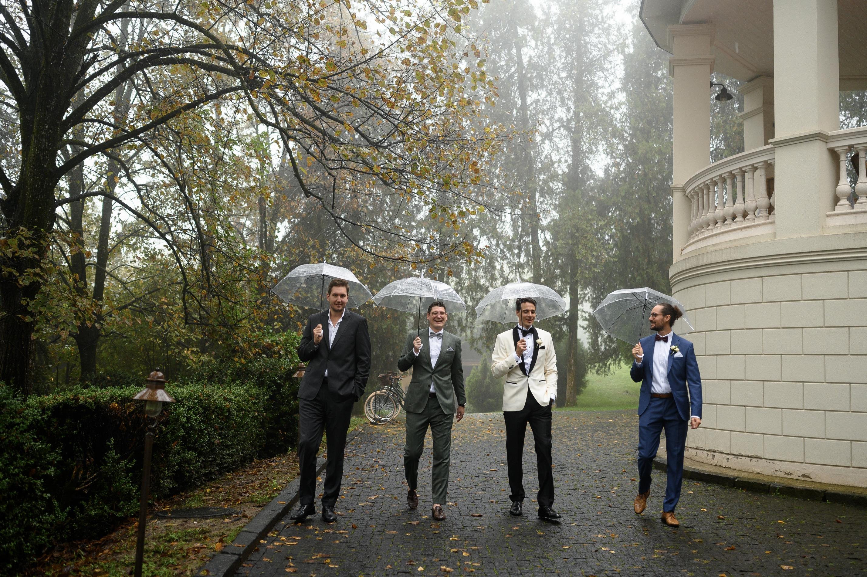 Wedding of Maks & Veronika