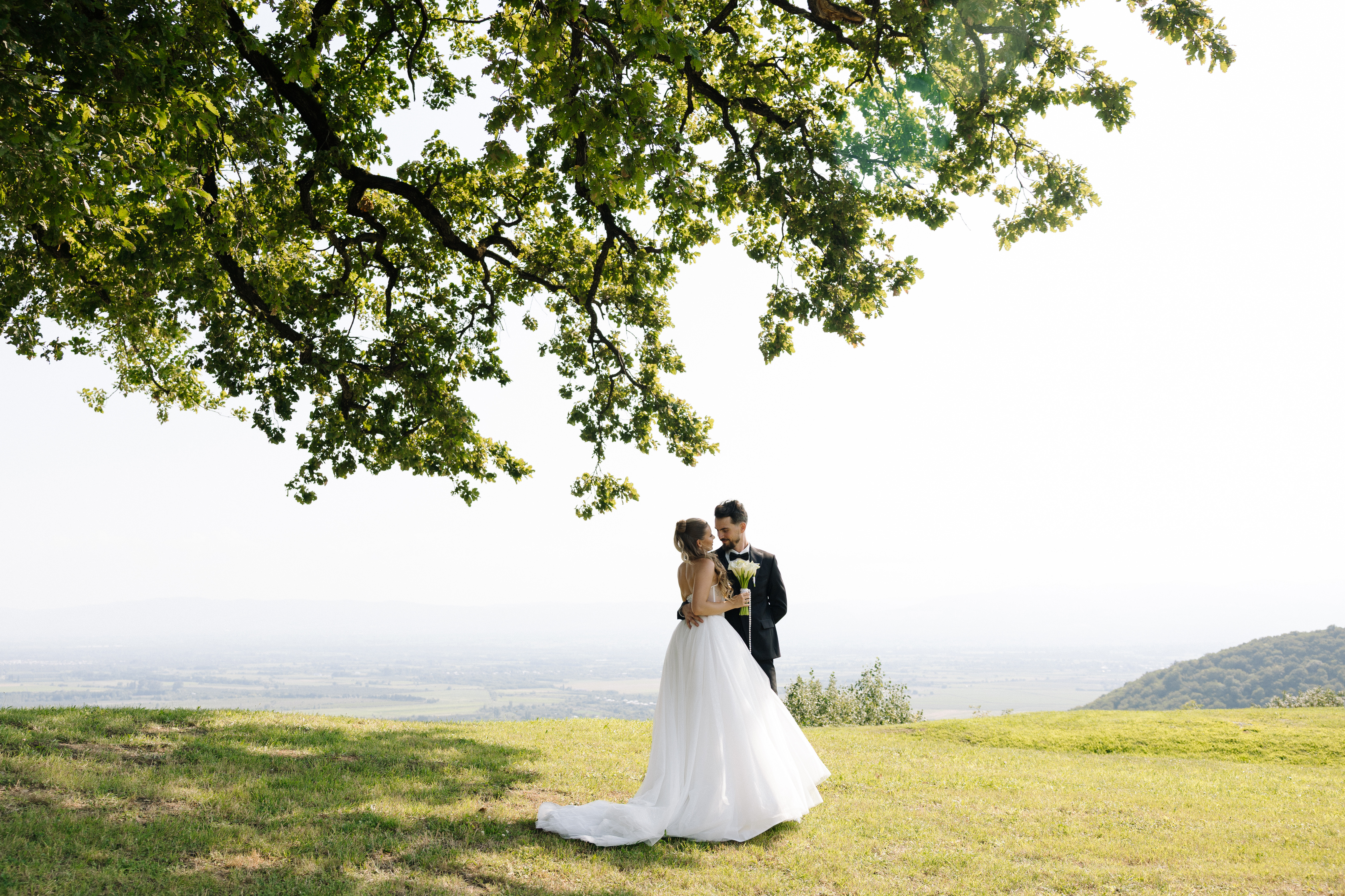 Wedding of Alexey & Yana